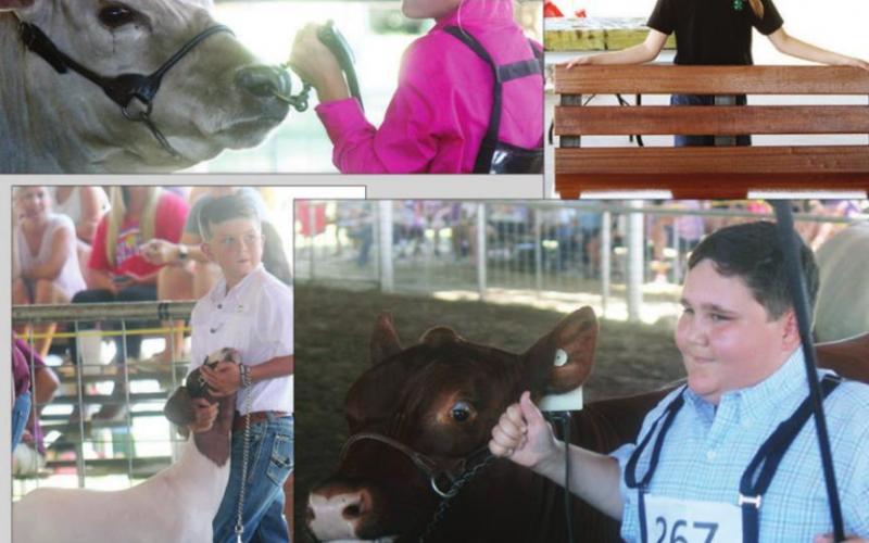 2020 Freestone County Youth Livestock Show
