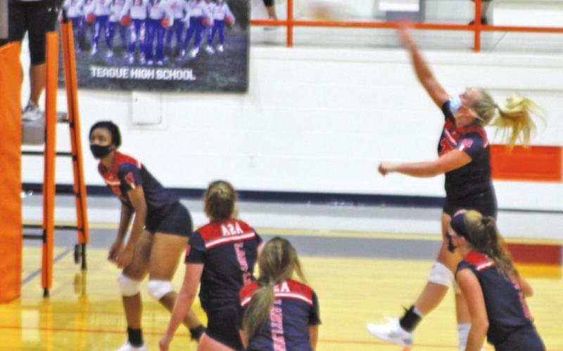 Lady Lions starts 2020 volleyball season