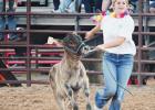 Locals compete in the Freestone County Rodeo
