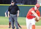 Lions fall to Eagles on the diamond