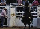 93rd Annual Teague 4th of July Rodeo