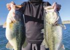 LUNKER REPORT: Biologist says ‘Ivie whopper bass population could number in triple digits